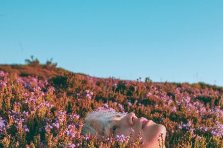 Meditation Exploration -